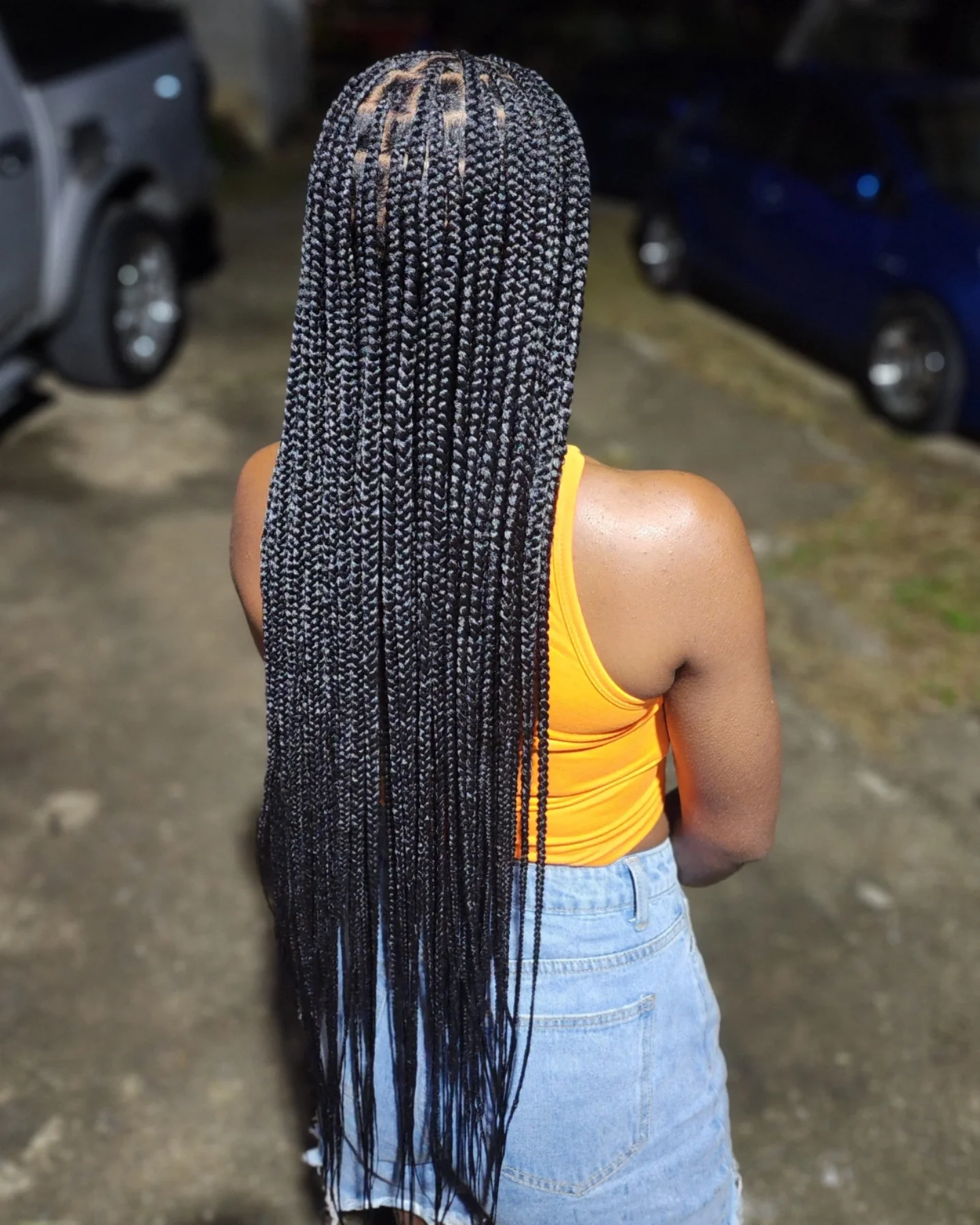 Long Box Braids